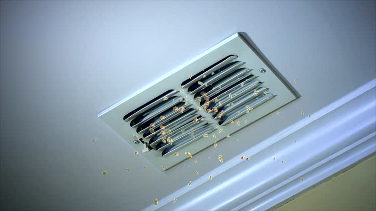 Best Professional Duct Cleaning Services  in Nth Plains, OR